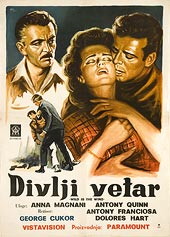 DIVLJI VJETAR / WILD IS THE WIND
